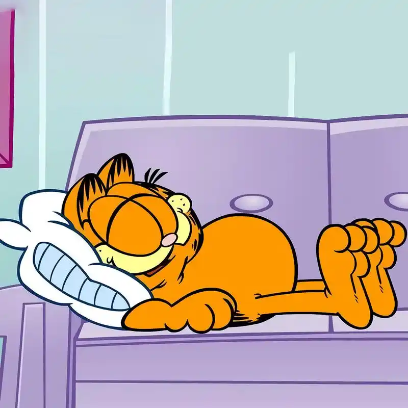 动漫头像|超酷加菲猫头像,90后的回忆头像,高清加菲猫头像