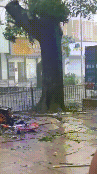 山竹来袭最低18友阿游乐设施被大风吹翻部分航班及列车取消附停电信息