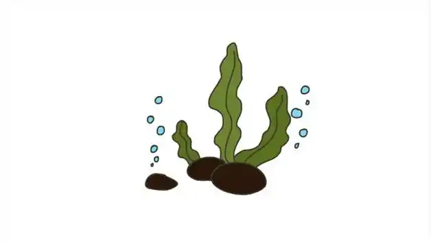 水草简笔画怎么画