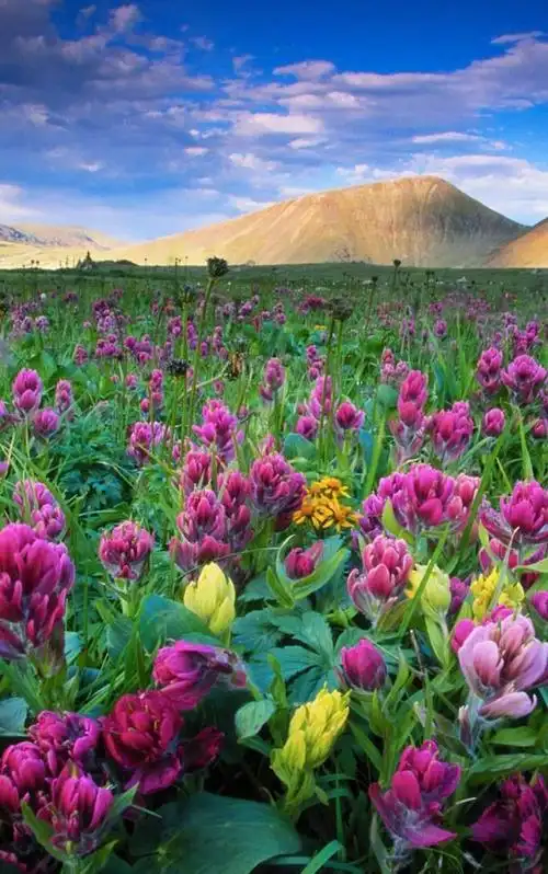 风景相册名称唯美好听,旅游相册的名字唯美简短的图2