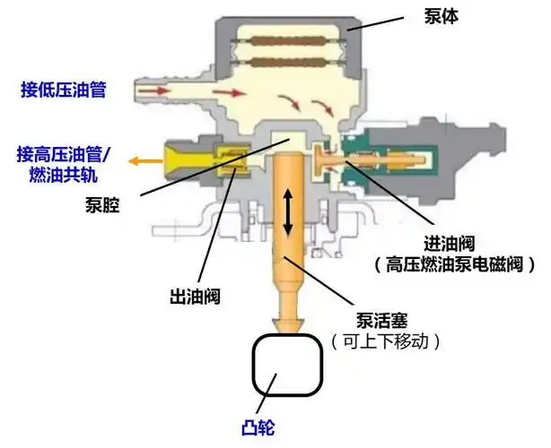 出油阀(单向阀,机械装置)以及泵体与进油阀/出油阀形成的泵腔组成