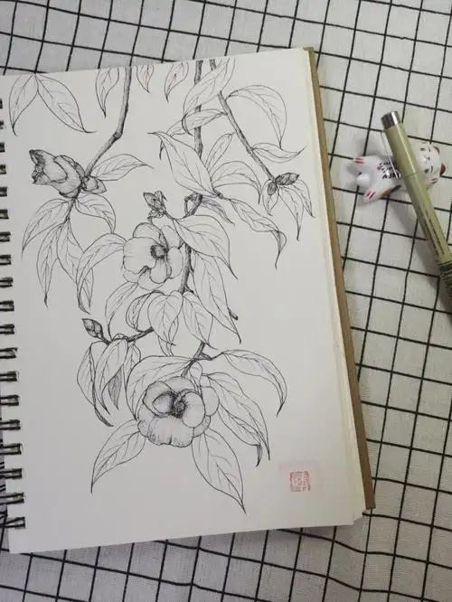 零基础学画画  #画画的日常  #针管笔手绘 #黑白画  #山茶花