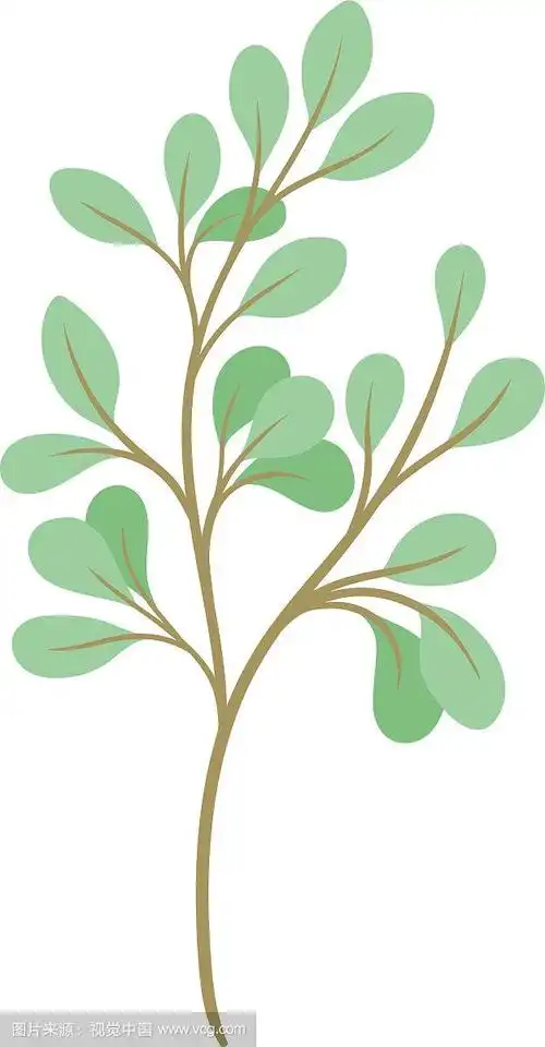 卡通树枝与绿色的叶子在白色