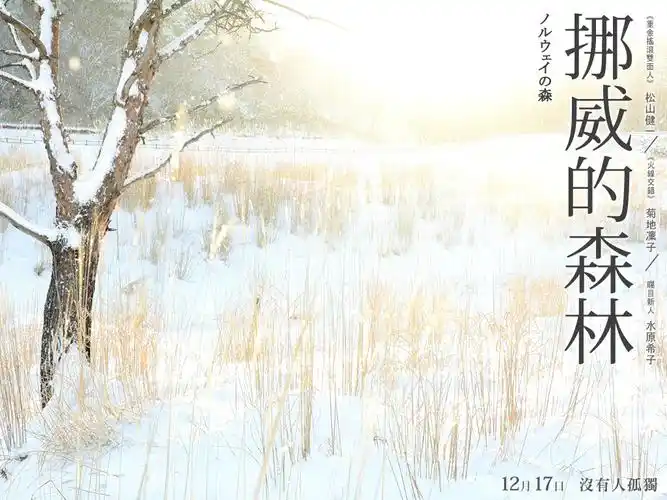 挪威的森林-- 当谈爱我们该谈什么