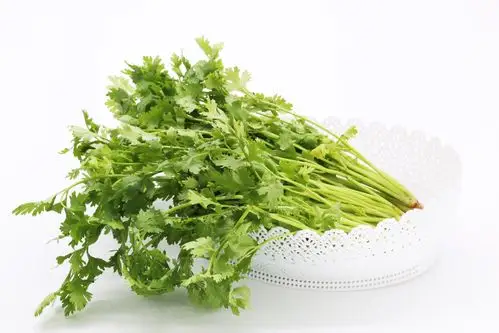香菜