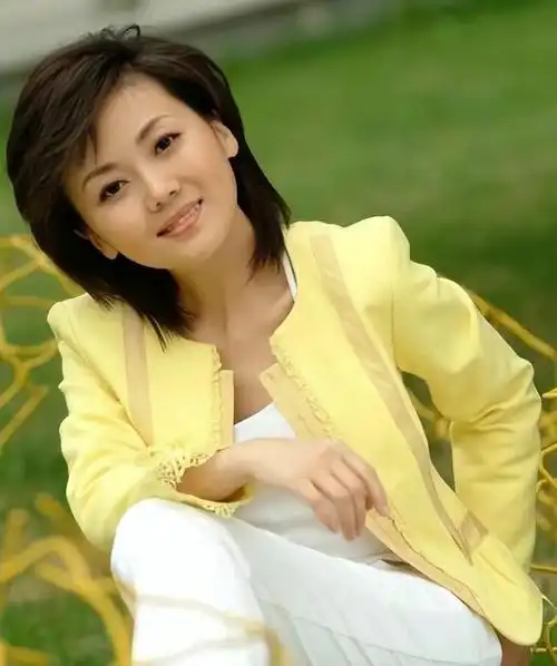 铁饭碗不香了央视主持人掀集体辞职潮她们的难言之隐谁懂