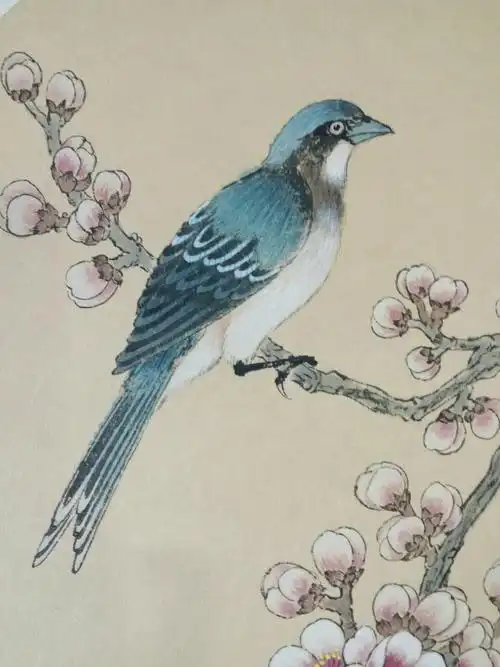 青池工笔之.鸟谱