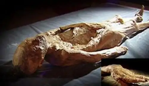 此皇帝在位期间一片盛世,面子比什麼都重要,尸体在水沟发现