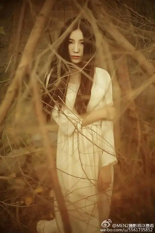 梦幻- 摄影师景希qjx - 图虫网 - 最好的摄影师都在这