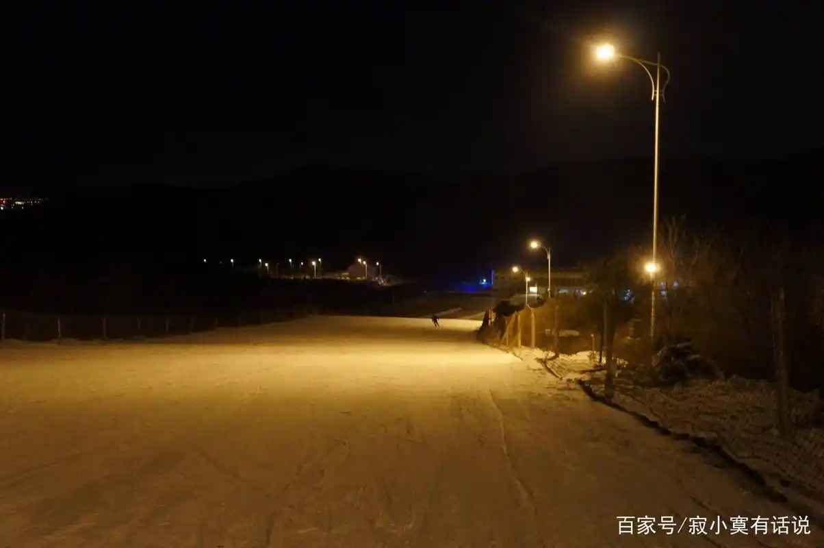 一月份的冬夜,万家灯火,大雪纷飞