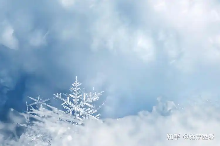 大雪大雪纷飞瑞雪降临