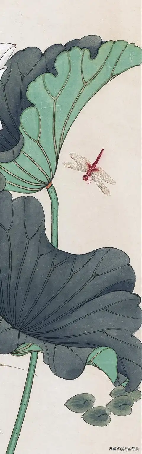 清爽淡雅好工笔:于非暗的《荷塘蜻蜓翠鸟图》