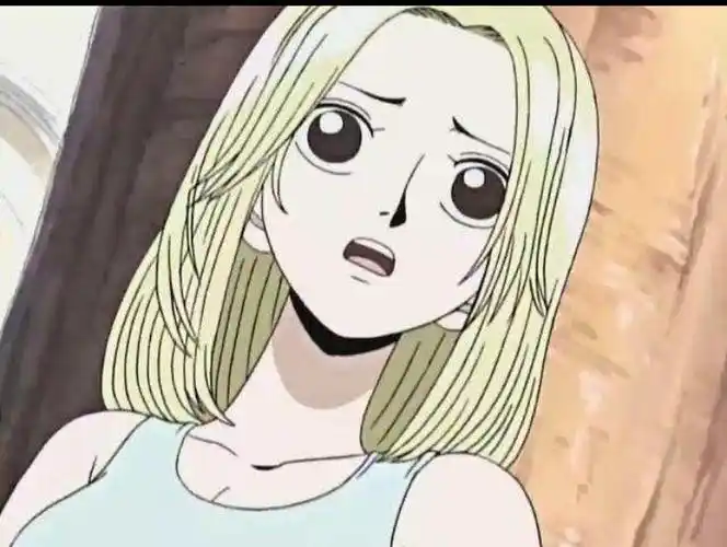 可雅是海贼王里最棒的女生,谁赞成?谁反对?