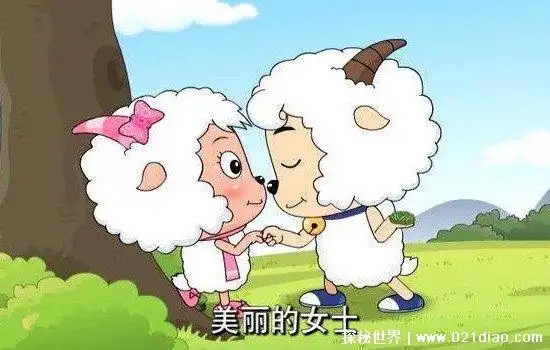 喜羊羊喜欢美羊羊吗,不喜欢(喜羊羊死前的一句话就可以看出) — 探秘