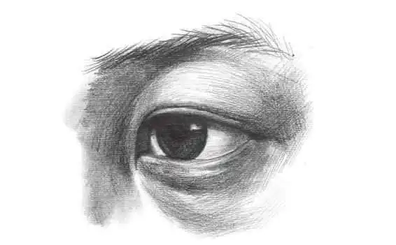 素描知识:分步骤讲解侧面眼睛画法,简单易学,艺术生快来临摹吧