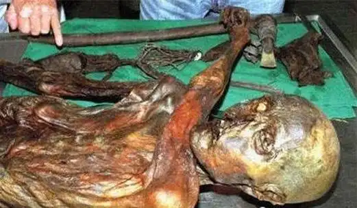 诡异女木乃伊居然离奇怀孕而且胎儿父亲还是她的看守人