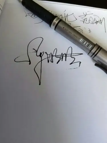 求"天下第一签"签名设计 姓名谭彤彤