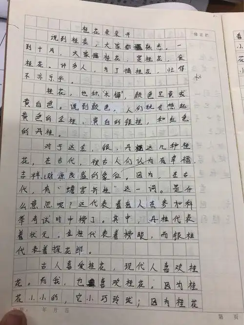 一年一度秋我手写花留(五5周末优秀作文集锦)