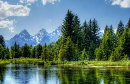 三大属相土财旺盛,狗年财运逆转,四面福归,事事顺心发大财