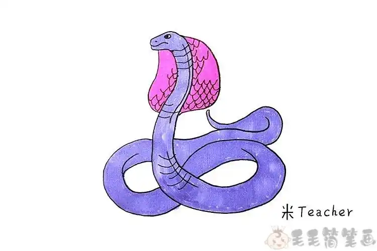 威猛的眼镜蛇王简笔画步骤