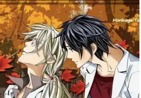 整部剧都在开车的双男主 双男主每集都是车的番剧推荐