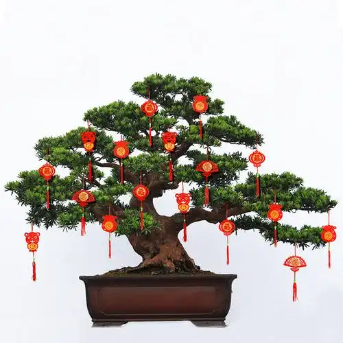 新年迁入发财树红灯笼挂饰盆景年元旦乔迁入挂件福字挂饰