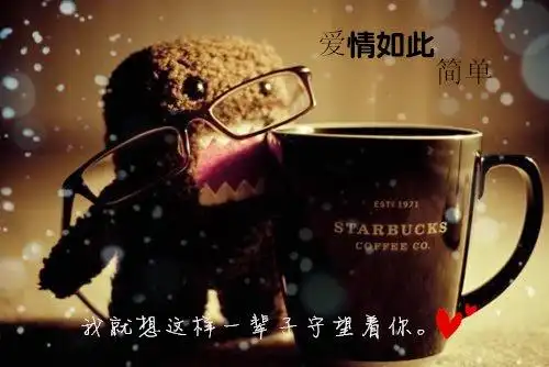 一颗心爱一个人