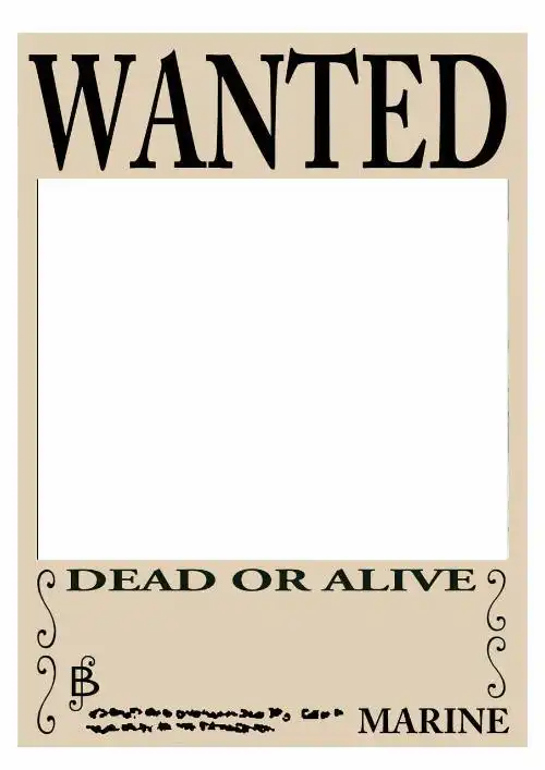 谁能给我个海贼悬赏令底图