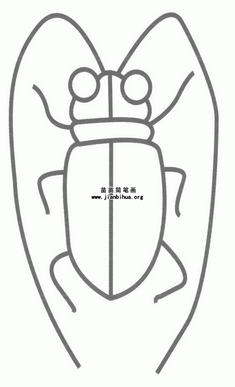 天牛幼虫简笔画昆虫