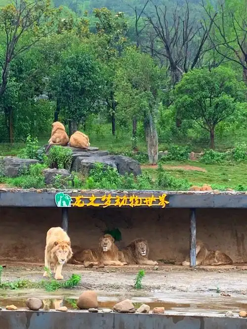 湖州长兴龙之梦动物园半日游攻略0606_动物园_自驾_小朋友_餐厅