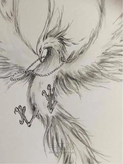 世界神兽简笔画