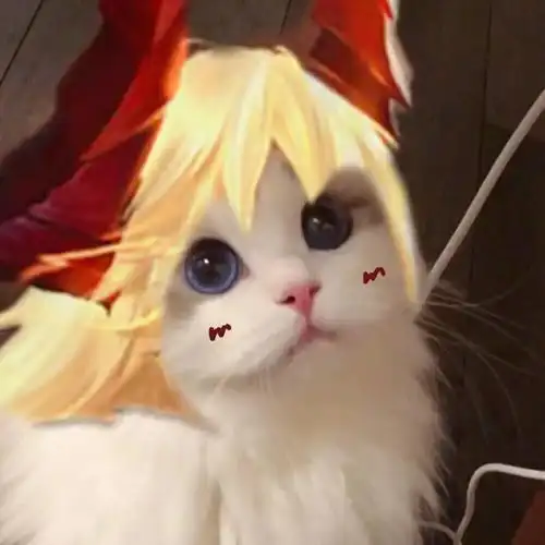 王者荣耀野王猫萌萌头像