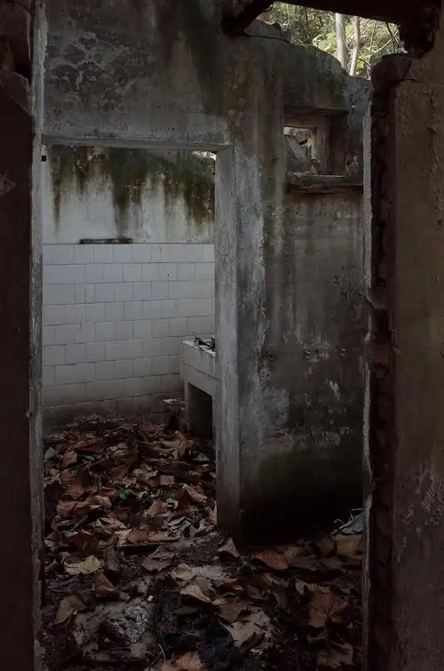 渝存有解剖标本的废弃学校