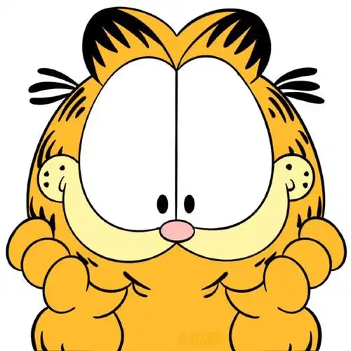 加菲猫头像#96#二次元新鲜事#  亲亲,抱抱,举高高,你是最可爱的