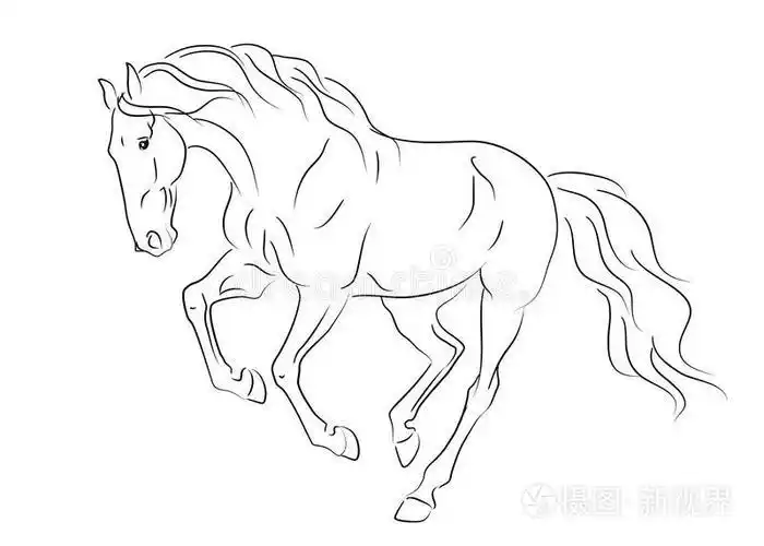 下载小样发票合同问题/举报野马跑马美国马鞍小品马手绘矢量eps8