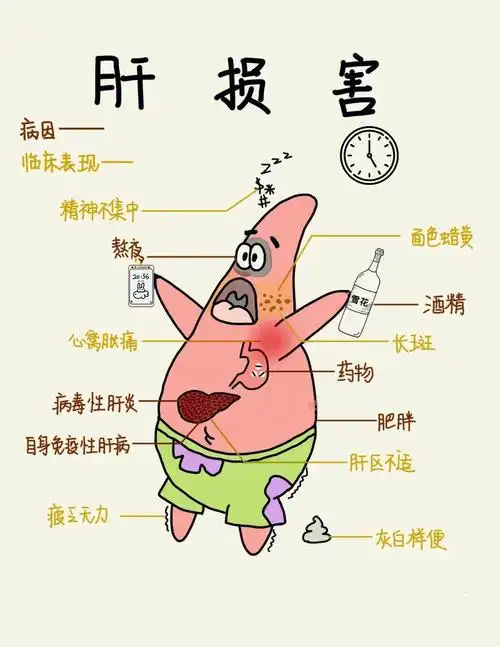 护肝吃什么效果好推荐护肝养肝食物