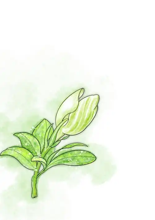 插画练习作品栀子花