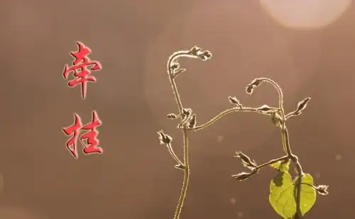 有没有带牵挂俩字的图片