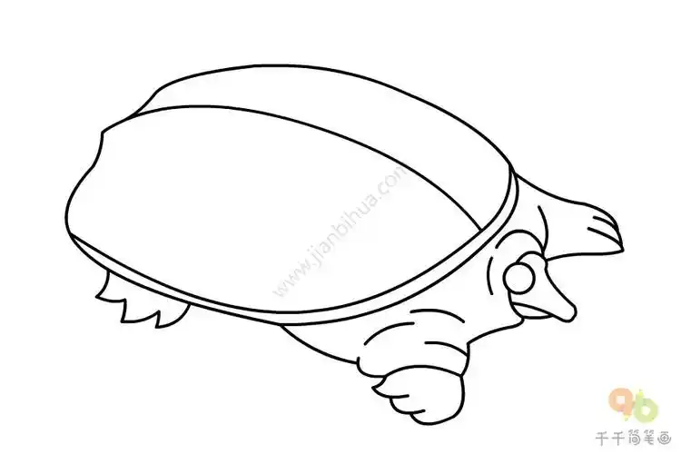 儿童画鼋简笔画