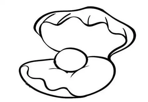 河蚌简笔画带颜色