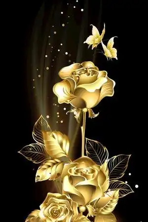 穿过心形花瓣的玫瑰花图片其他