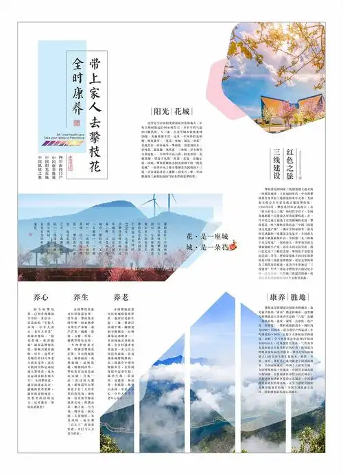 攀枝花市政宣传报纸版面设计|平面|宣传物料|鹿岛的猫创意设计 - 原创