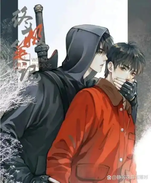 最爱的人气cp:瓶邪张起灵和吴邪