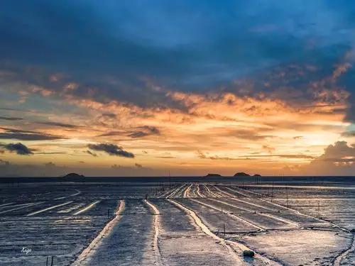 金色黎明下的海涂