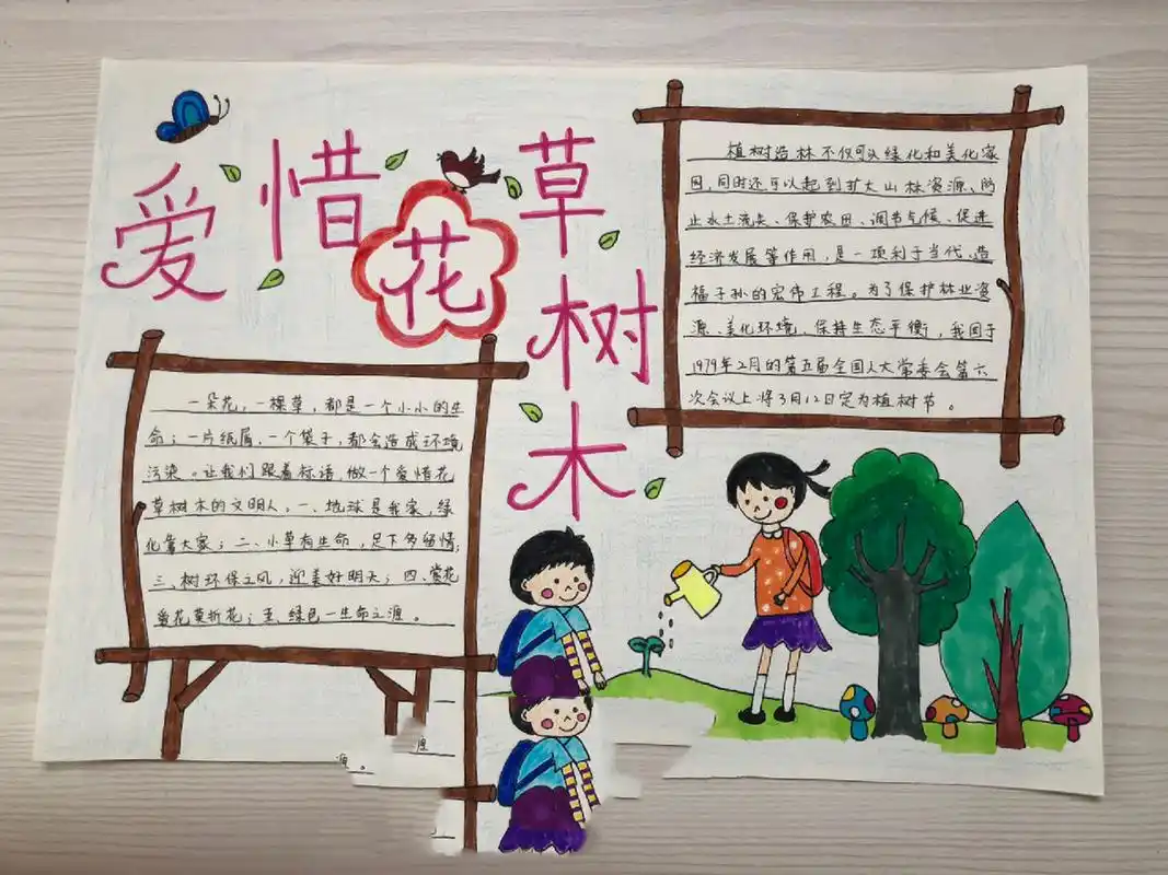爱护花草树木手抄报 植物节~小学生文明~爱护花草树木~小学生手抄报