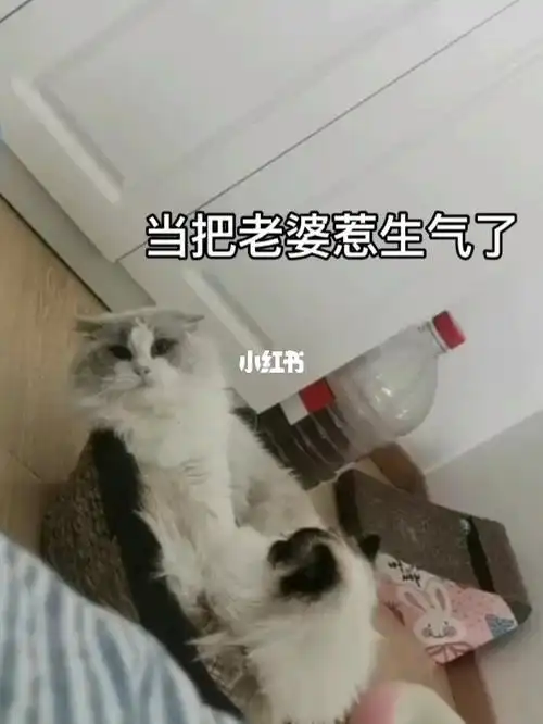 当把老婆惹生气了该怎么办
