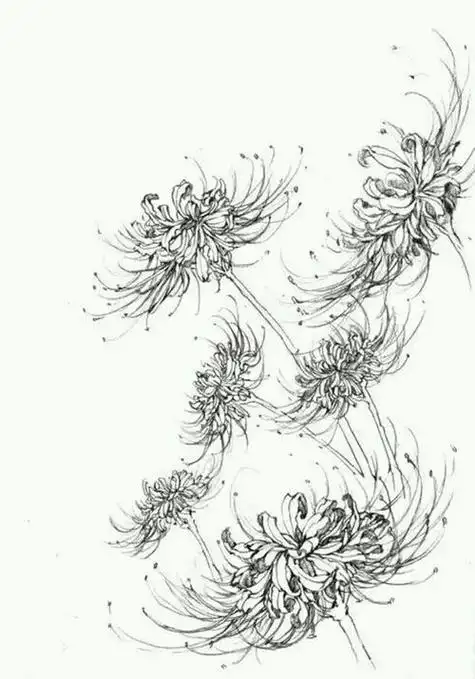 彼岸花简笔画古风