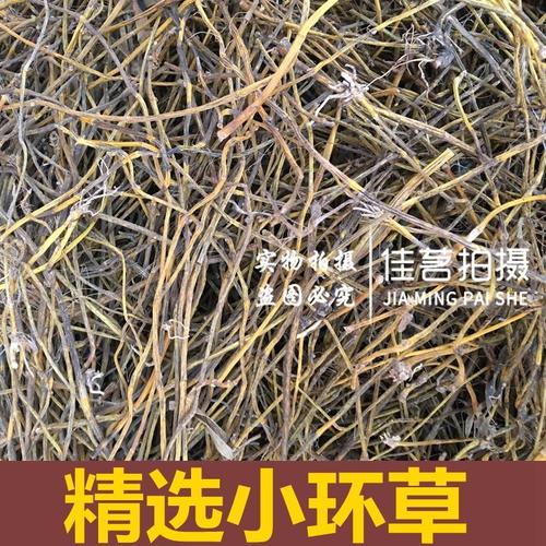 小环草野生中药材小黄草 万丈须 美花石斛 环草石斛500克包邮