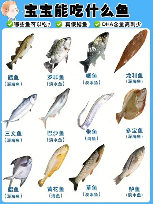 常见鱼类区别和用途宝宝可以吃什么鱼记住