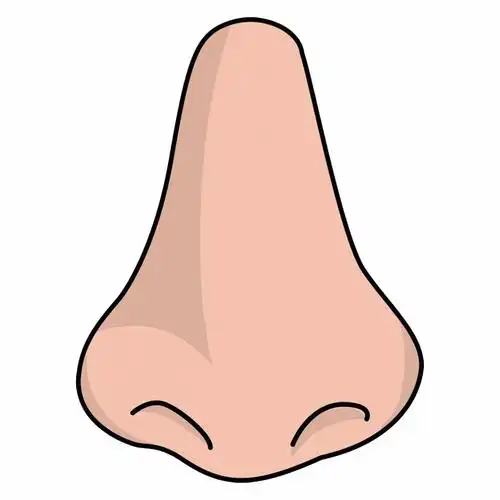 小鼻子,大学问每年4月的第二个星期六,被设定为"全国爱鼻日"——全国